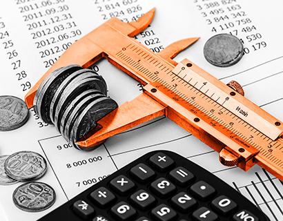 fiscal